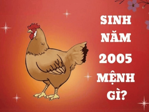 Mệnh Thuỷ 2005 hợp số nào khai mở tiềm năng?