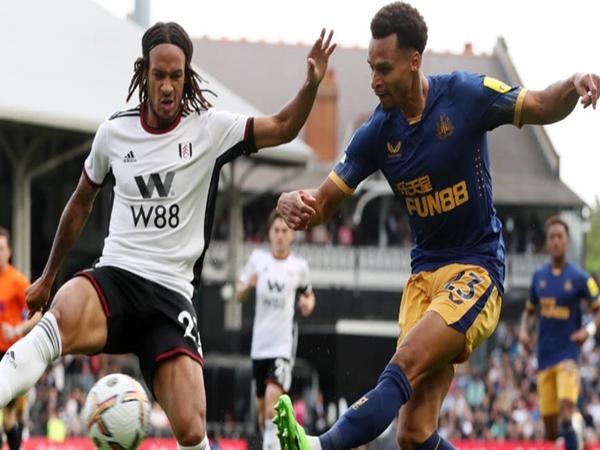 Nhận định phong độ trận Newcastle gặp Fulham