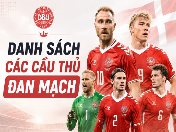 Danh sách các cầu thủ Đan Mạch: Đánh giá tổng thể đội hình