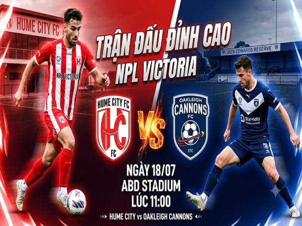 Dự đoán Hume City vs Oakleigh Cannons, nhận định tỷ số ngày 18/07